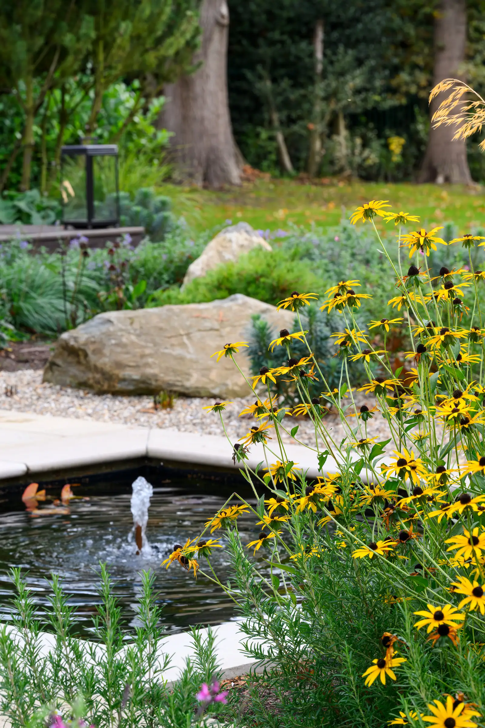 Pinewood Garden Design