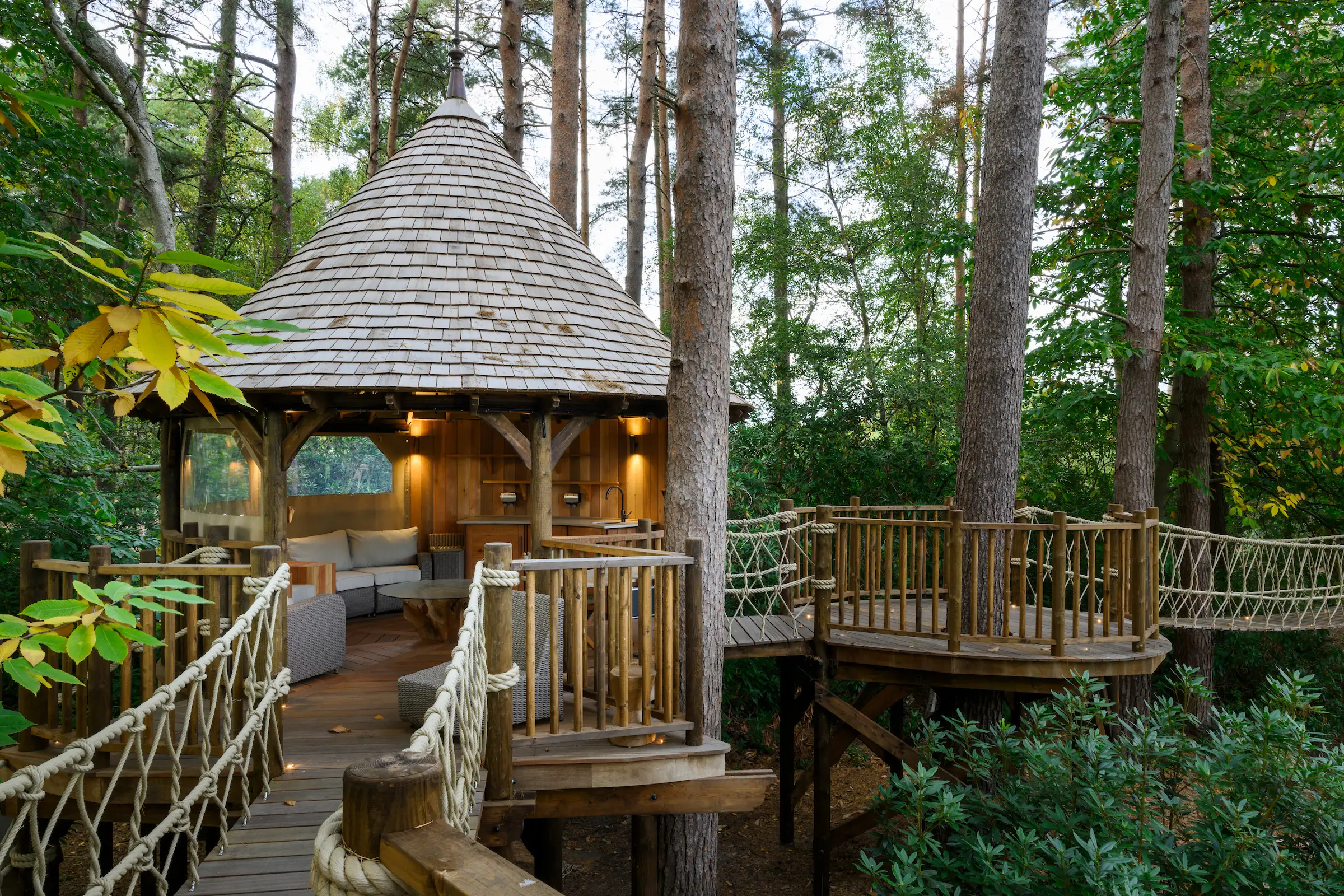 Pinewood Garden Design